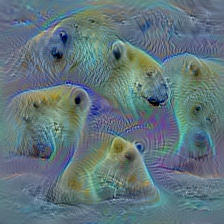 n02133161